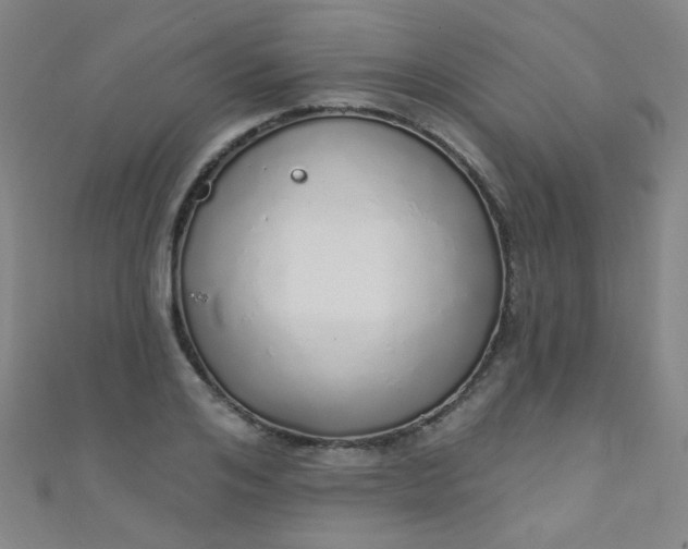 X0000110980984200907022052