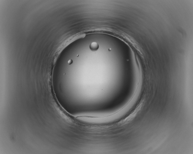 X0000110980985200907022052