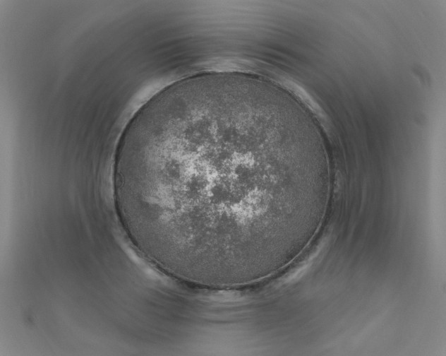 X0000110980986200907022052