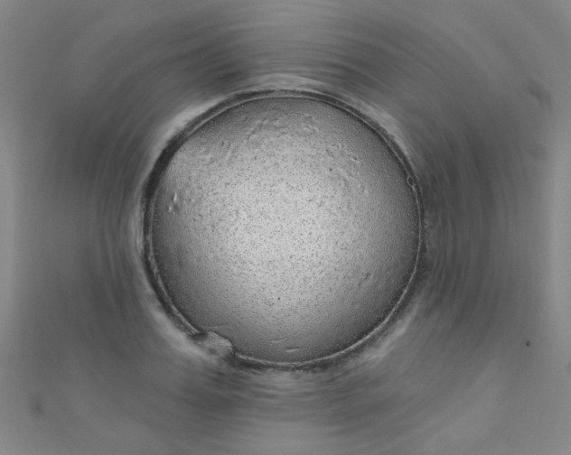 X0000110980987200907022052