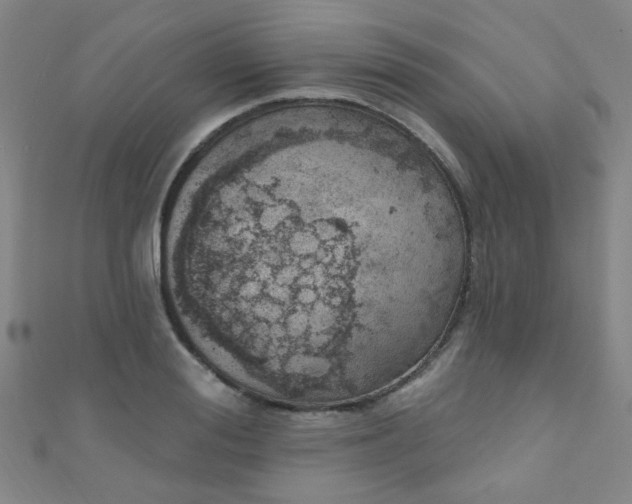 X0000110980988200907022052