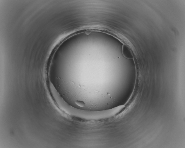 X0000110980989200907022052