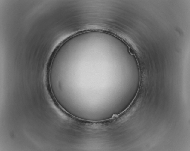 X0000110980991200907022052