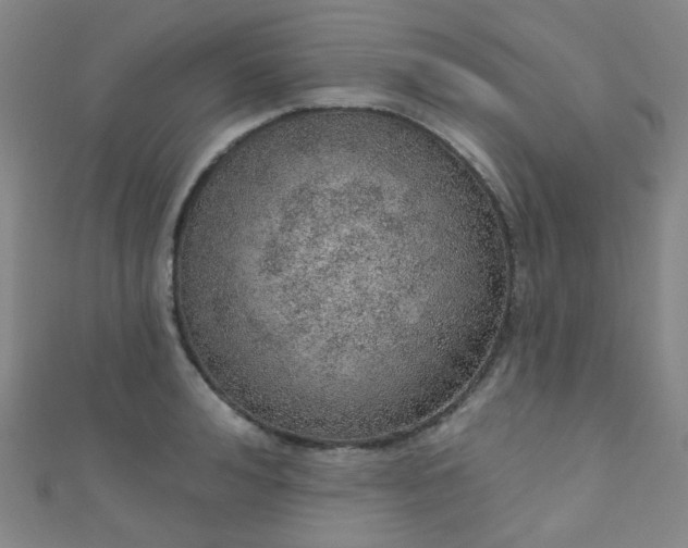 X0000110980992200907022052