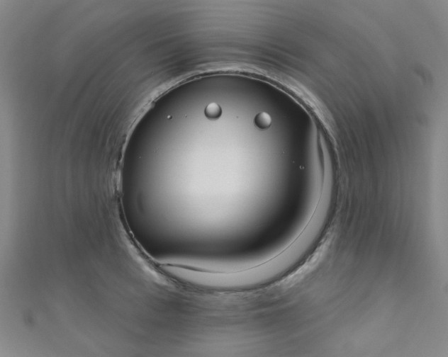 X0000110980993200907022052