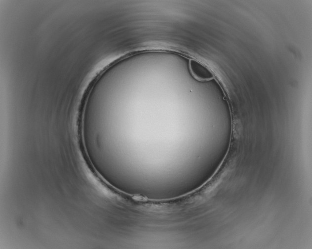 X0000110980995200907022052