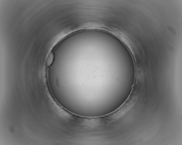 X0000110980997200907022052