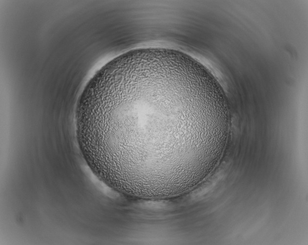 X0000110980998200907022052