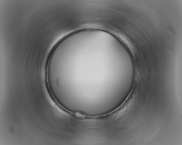 X0000110980999200907022052