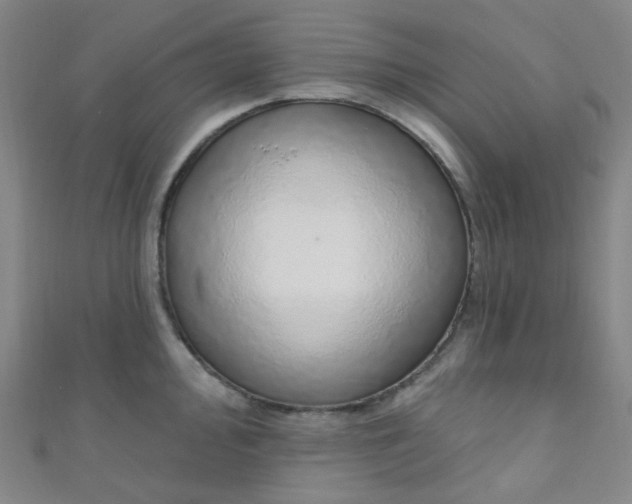 X0000110981000200907022052