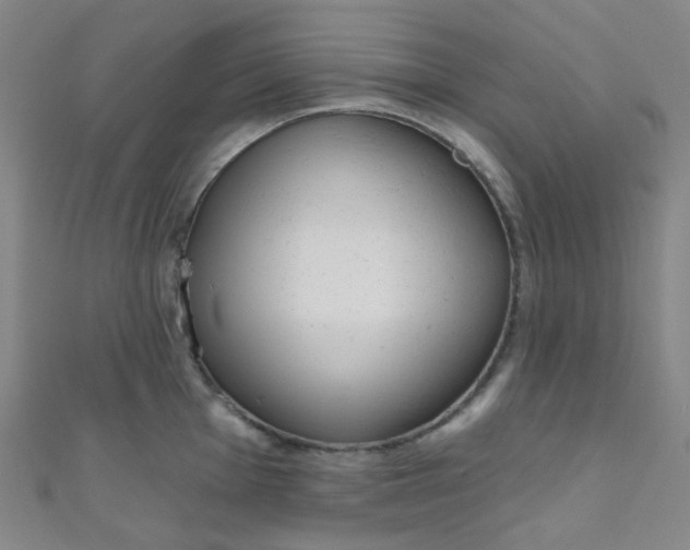 X0000110981001200907022052