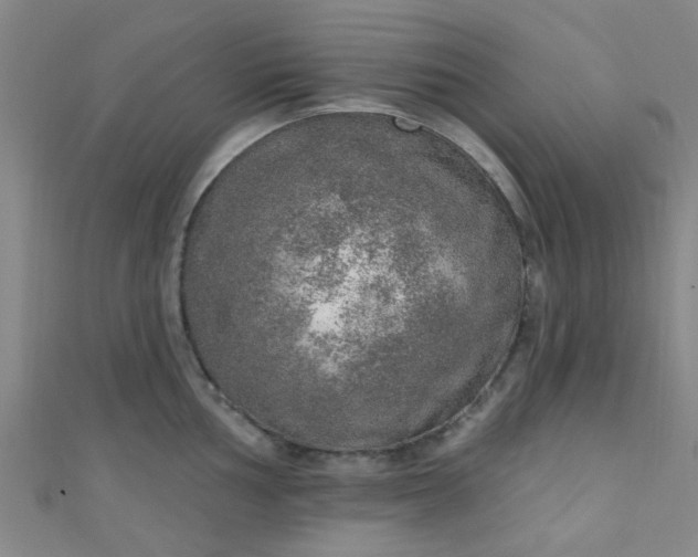 X0000110981002200907022052