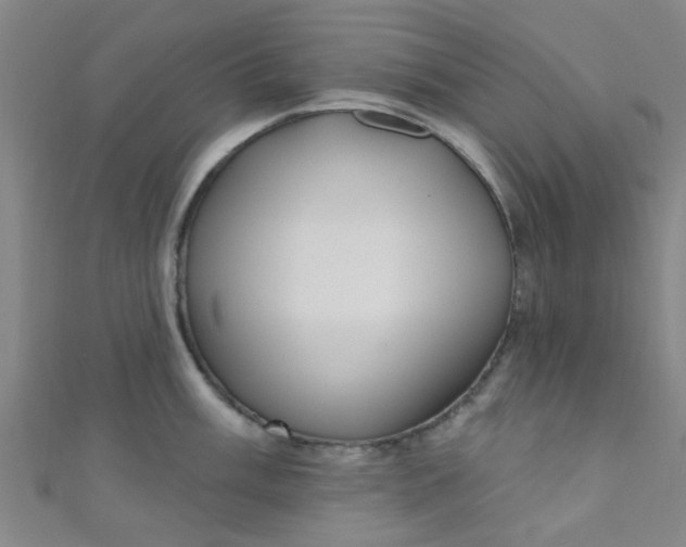 X0000110981003200907022052