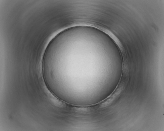 X0000110981004200907022052