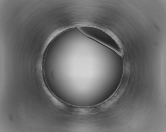 X0000110981005200907022052