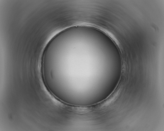 X0000110981007200907022052