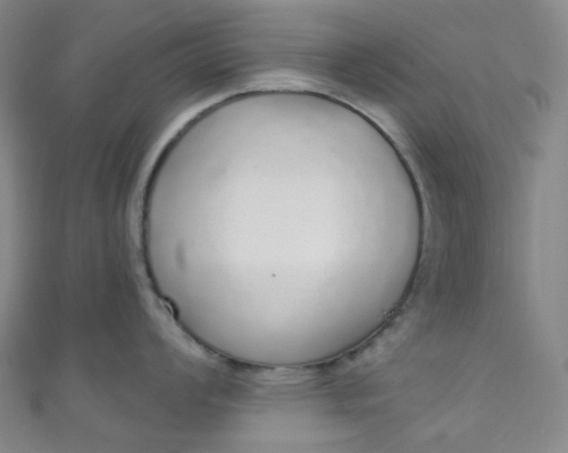 X0000110981008200907022052