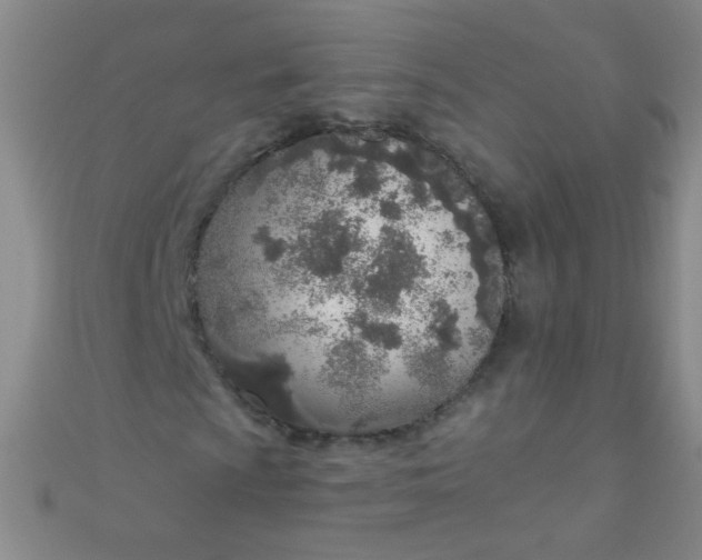 X0000110981009200907022051