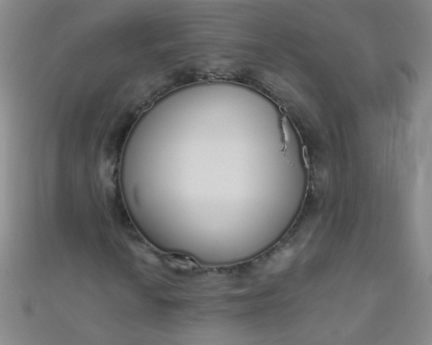 X0000110981010200907022051