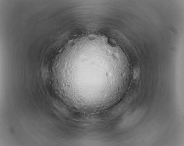 X0000110981011200907022051