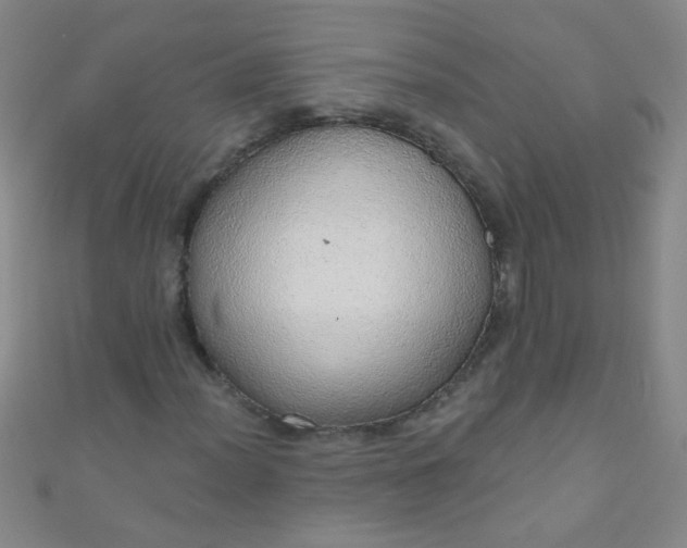 X0000110981012200907022051