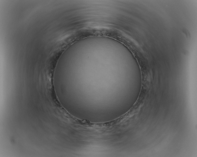 X0000110981013200907022051