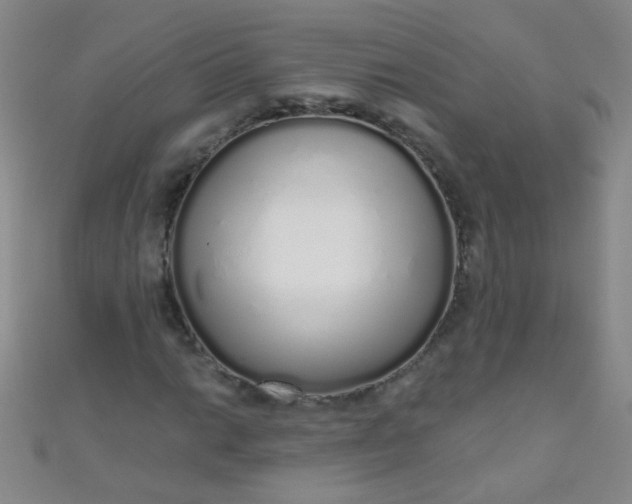 X0000110981014200907022051