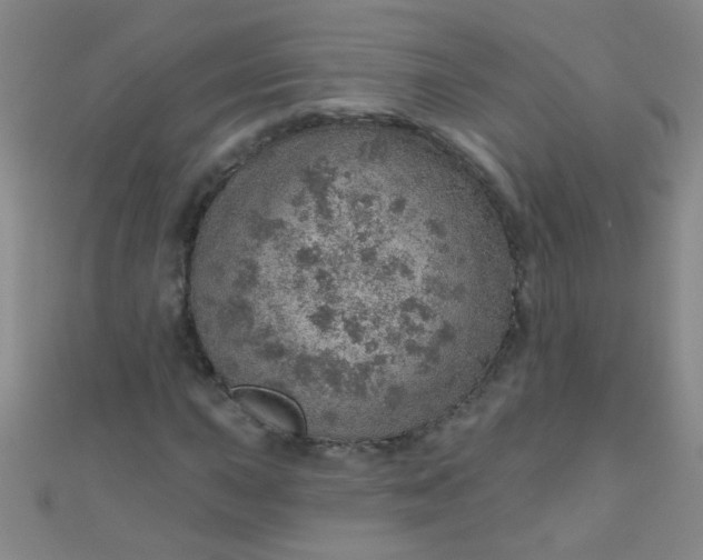 X0000110981015200907022051