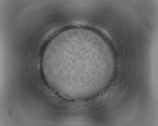 X0000110981016200907022051