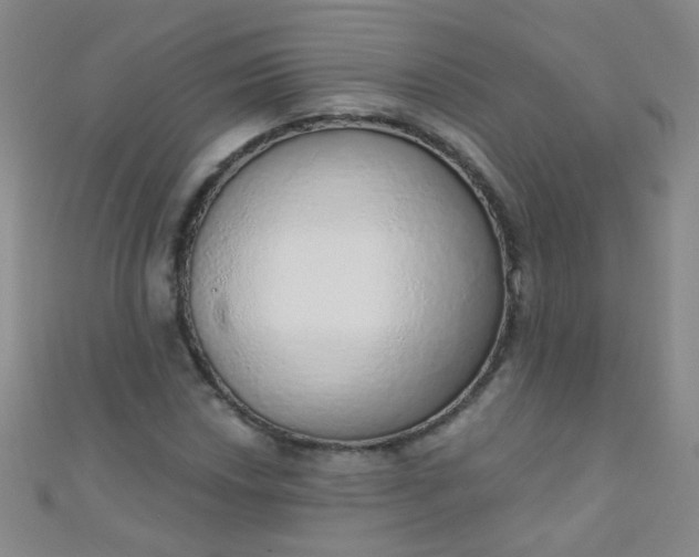 X0000110981018200907022051