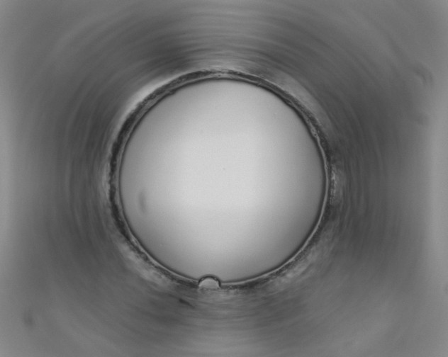 X0000110981020200907022051