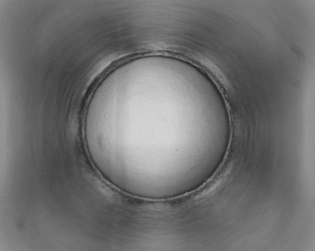 X0000110981023200907022051