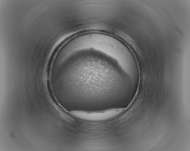 X0000110981024200907022051