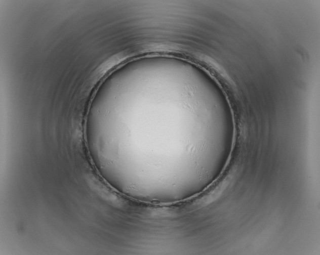 X0000110981025200907022051