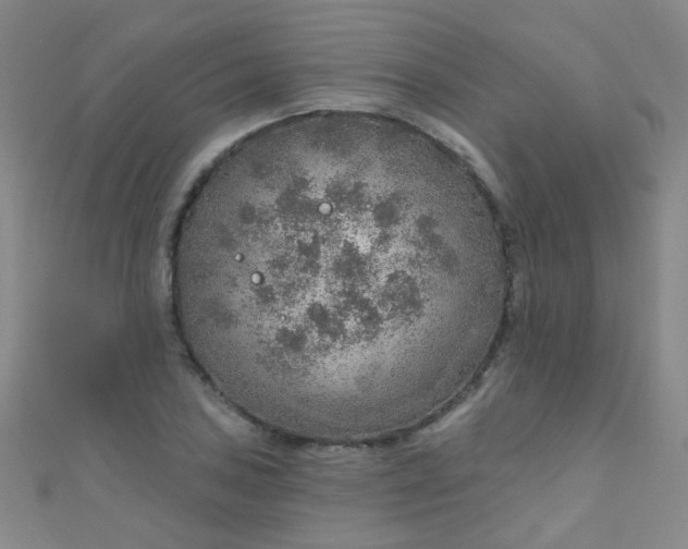 X0000110981027200907022051