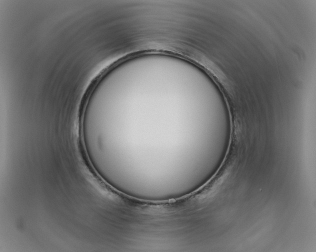 X0000110981028200907022051