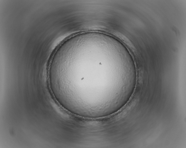 X0000110981031200907022051