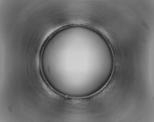 X0000110981032200907022051