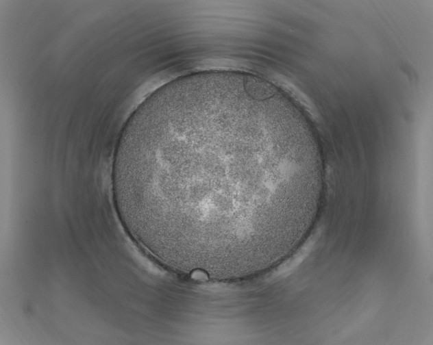 X0000110981033200907022051