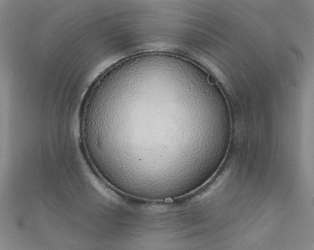 X0000110981034200907022051