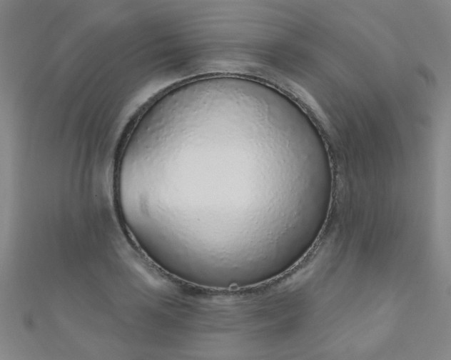 X0000110981035200907022051