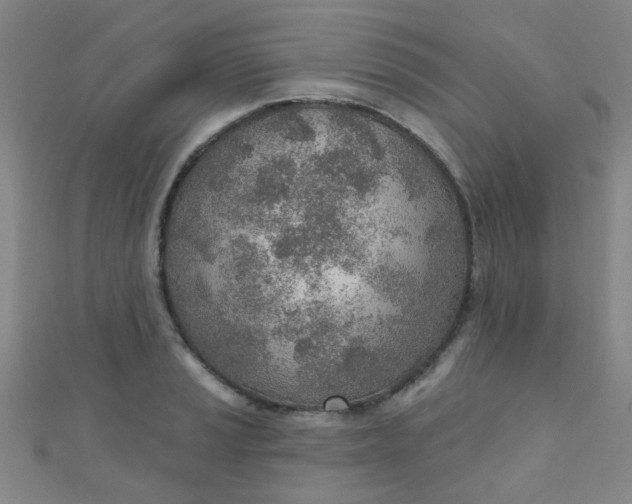 X0000110981037200907022051