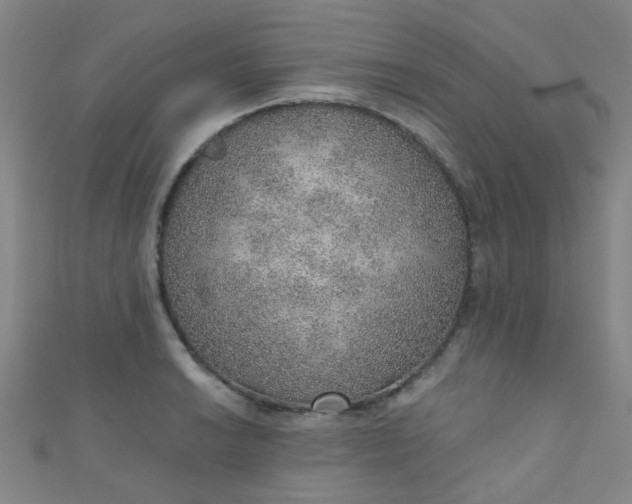 X0000110981038200907022051