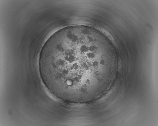 X0000110981039200907022051