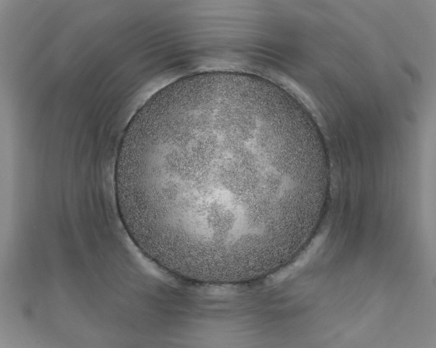 X0000110981041200907022051