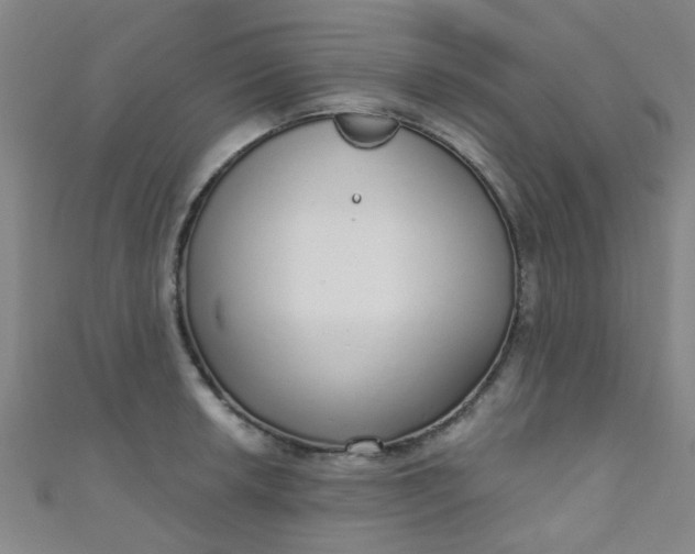 X0000110981042200907022051