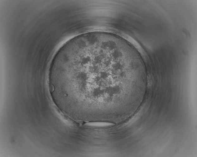 X0000110981043200907022051