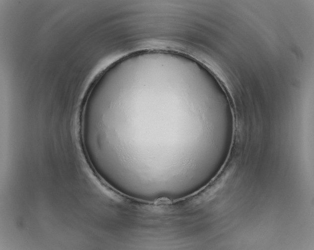 X0000110981045200907022051