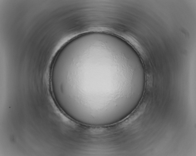 X0000110981046200907022052