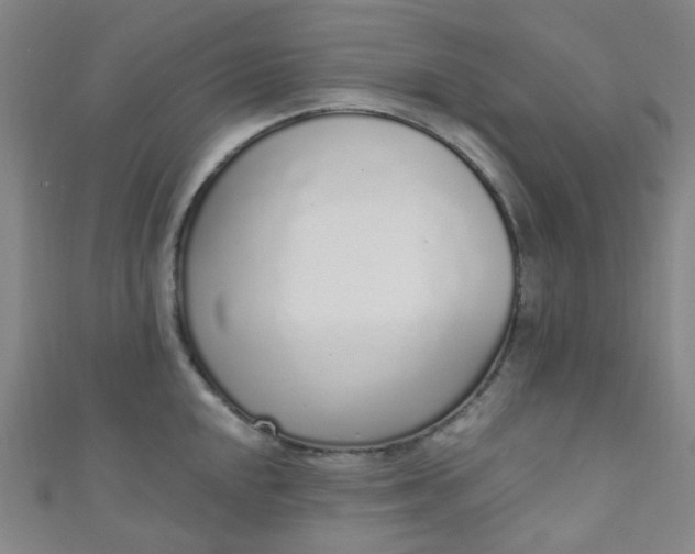 X0000110981048200907022052